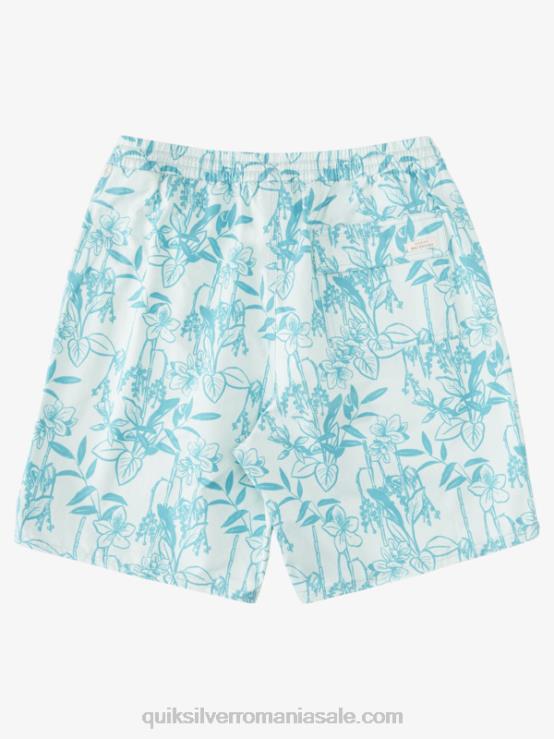 subtil verde looseways vy waterman loose ways 17 salve XT6B939 bărbați Quiksilver