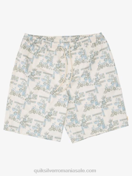 tea stonesteps vol waterman trepte de piatră 19 salvă XT6B1367 bărbați Quiksilver