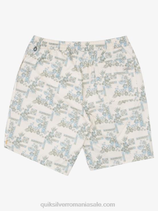 tea stonesteps vol waterman trepte de piatră 19 salvă XT6B1367 bărbați Quiksilver