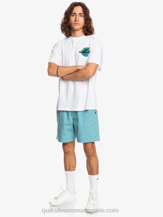 albastru delphinium pantaloni scurți taxer 17 cu talie elastică XT6B1378 bărbați Quiksilver