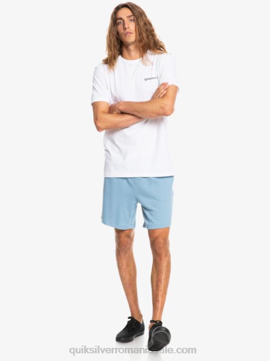 denim decolorat esențiale 19 pantaloni scurți organici XT6B1661 bărbați Quiksilver