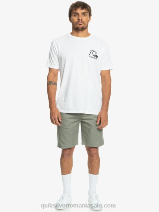erica gri deschis pantaloni scurți chino stretch 20 de zi cu zi XT6B858 bărbați Quiksilver