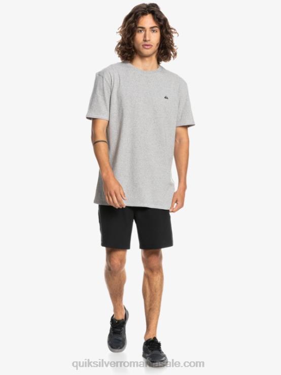erica gri deschis tricou proform XT6B1570 bărbați Quiksilver
