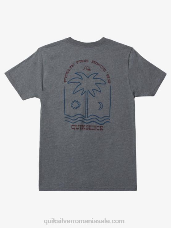 erica gri mediu tricou nou Take Mod XT6B1072 bărbați Quiksilver