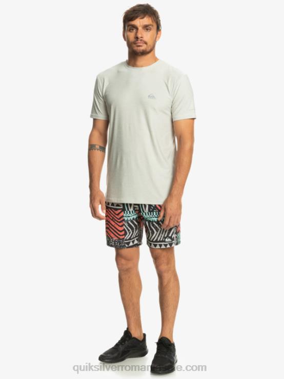 erica violet gri tricou Coast Runner XT6B1329 bărbați Quiksilver
