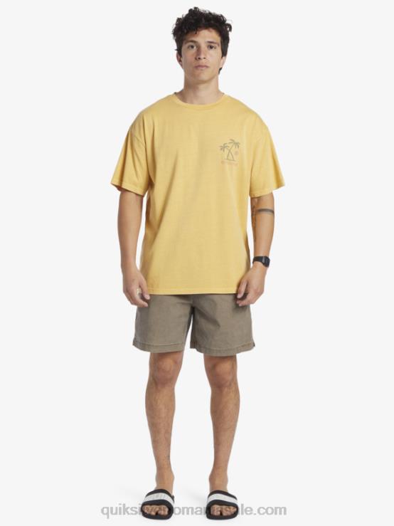 galbenus galben tricou ritualuri apusului XT6B390 bărbați Quiksilver