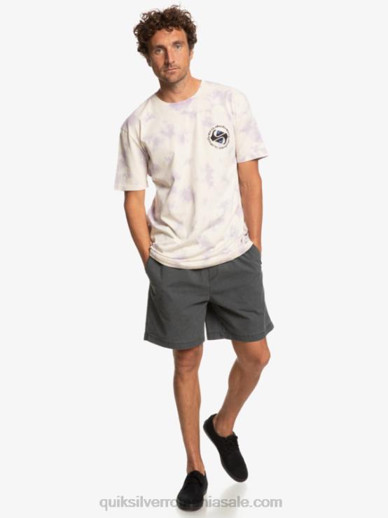 mesteacăn tricou omni circle XT6B1071 bărbați Quiksilver