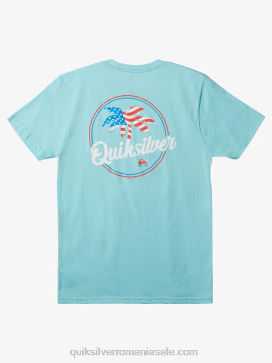 înger albastru tricou cu vânt în palmă XT6B236 bărbați Quiksilver