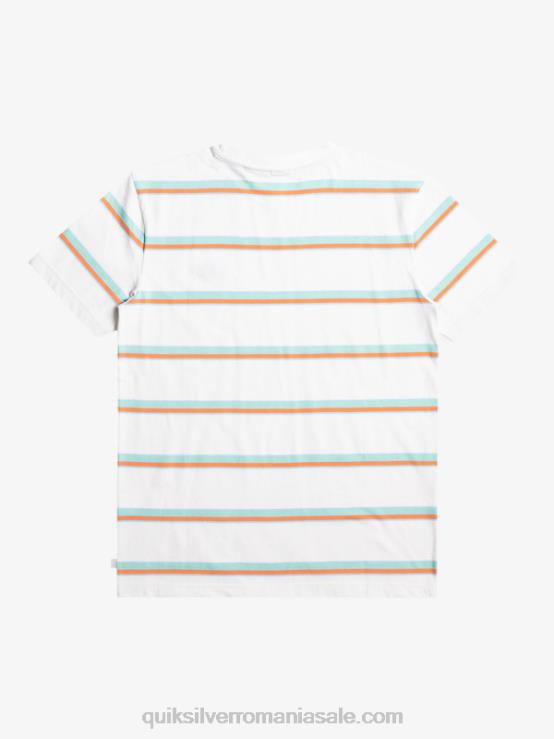 punct de mister mesteacăn tricou cu punct misterios XT6B1392 bărbați Quiksilver