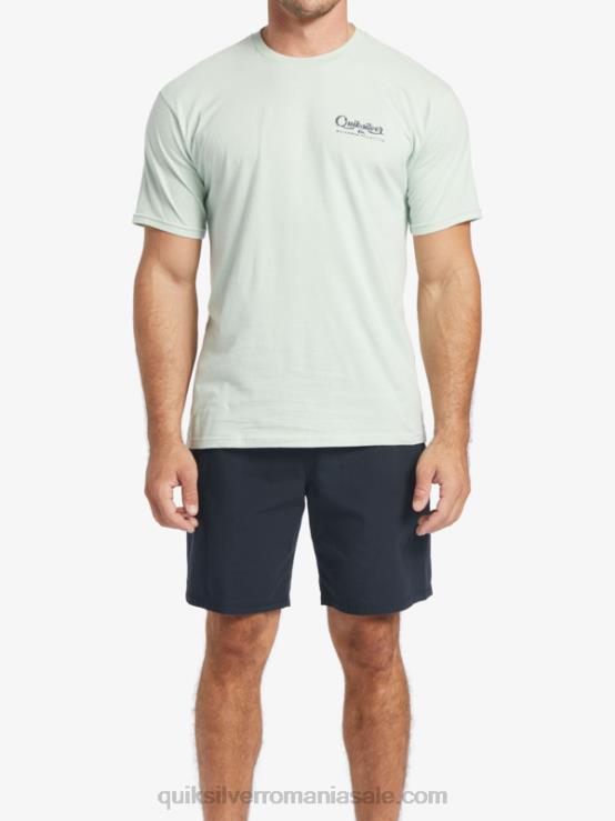 verde subtil tricou waterman undertow XT6B55 bărbați Quiksilver
