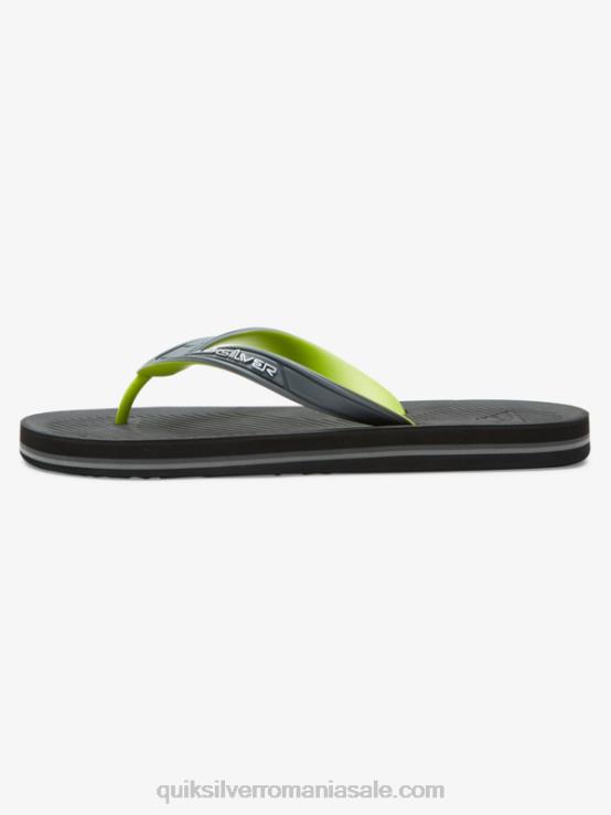 gri 1 flip-flops haleiwa core XT6B953 bărbați Quiksilver
