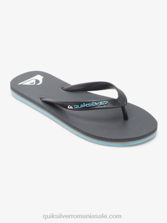 gri 4 flip-flops molokai core XT6B594 bărbați Quiksilver