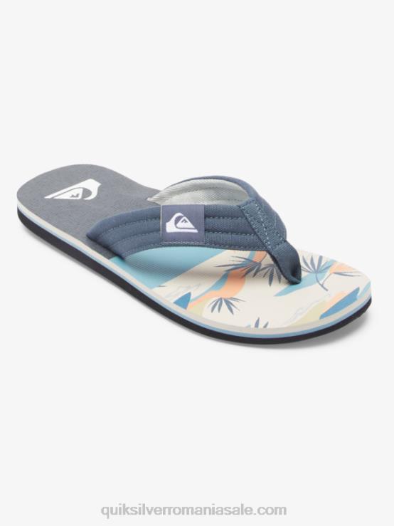 gri/alb sandale molokai layback XT6B494 bărbați Quiksilver