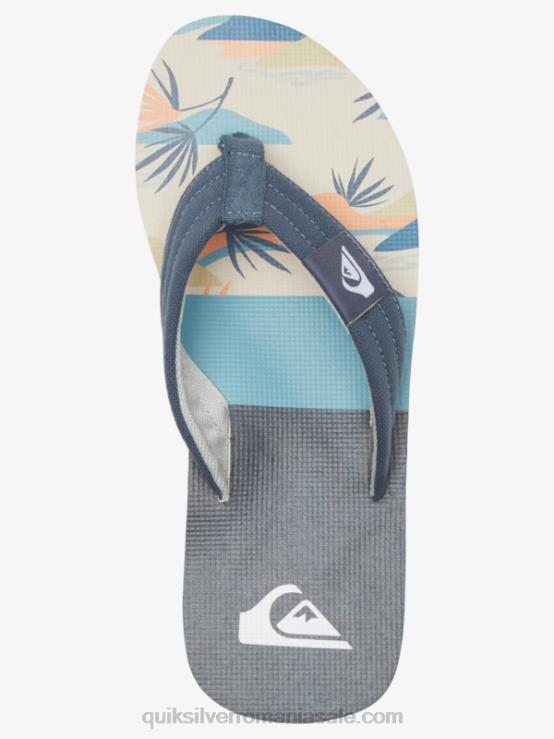 gri/alb sandale molokai layback XT6B494 bărbați Quiksilver