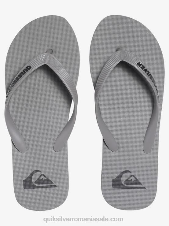 gri flip-flops molokai XT6B1590 bărbați Quiksilver