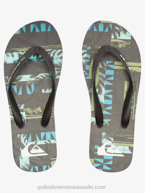 negru/albastru/verde gregg kaplan molokai art flip-flops XT6B524 bărbați Quiksilver